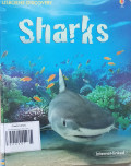 SHARKS/USBORNE DISCOVERY