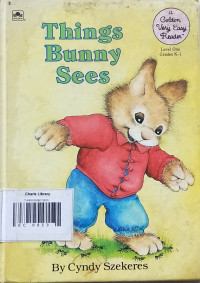 THINGS BUNNY SEES