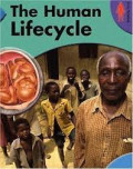 THE HUMAN LIFECYCLE / BODY SCIENCE