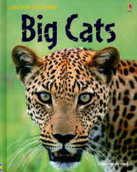 BIG CATS / USBORNE DISCOVERY