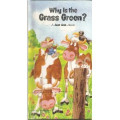 WHY IS THE GRASS GREEN ? / A JUST ASK BOOK