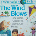 THE WIND BLOWS / I WONDER WHY