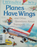 PLANES HAVE WINGS / I WONDER WHY