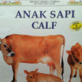 ANAK SAPI / MELIHAT MEREKA TUMBUH