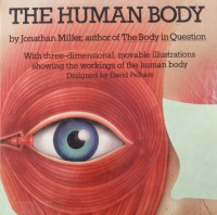 THE HUMAN BODY / POP-UP