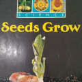 SEEDS GROW / BIG BOOK