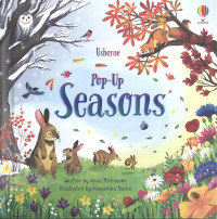 SEASONS / USBORNE POP-UP