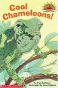 COOL CHAMELEONS !