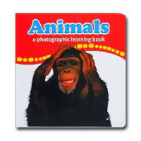 ANIMALS / A PHOTOGRAPHIC LEARNING BOOK