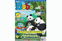 PANDA RAKSASA PERTAMA DI INDONESIA / BOBO 29 / 2017