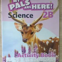 MY PALS ARE HERE ! SCIENCE 2B