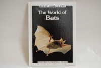 THE WORLD OF BATS/WHERE ANIMALS LIVE